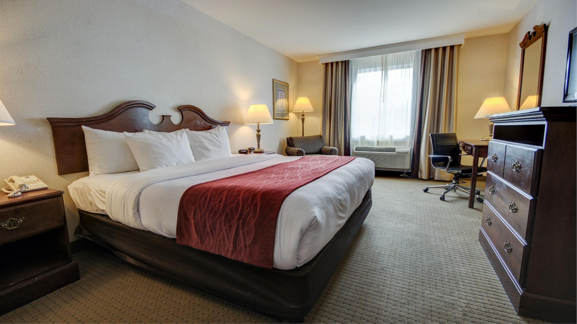 Comfort Inn & Suites East Greenbush - Albany Extérieur photo