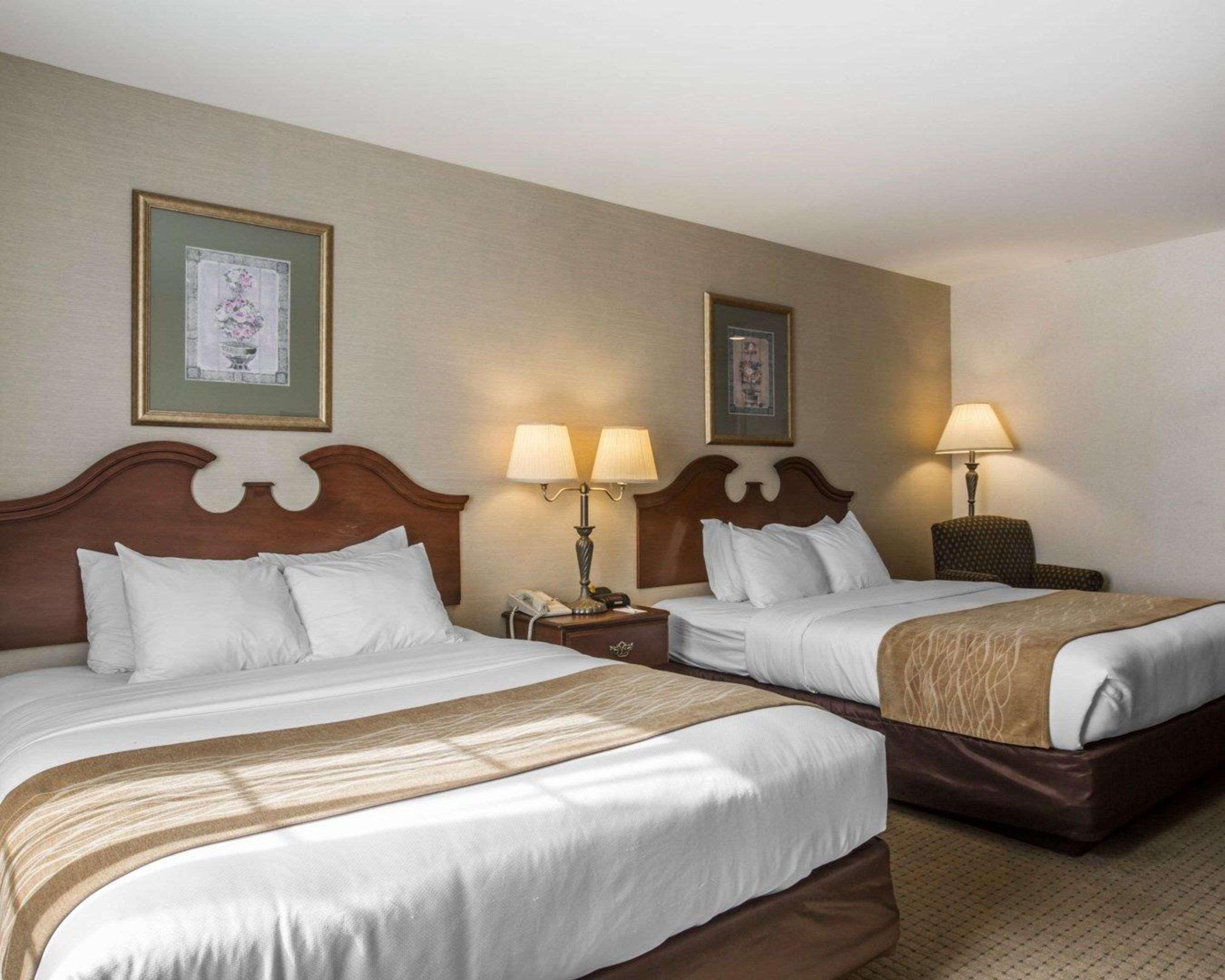 Comfort Inn & Suites East Greenbush - Albany Extérieur photo